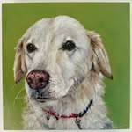 Lesley Iverson - @petsbyles - Instagram