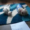 Lesley Jackson - @lesley.jackson84 - TikTok
