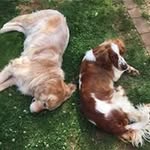Lesley Jackman - @jackman.lesley - Instagram