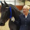 lesleyjackman2907 - @lesleyjackman2907 - TikTok
