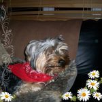 Lesley Jarrett - @lesley3uk - Instagram