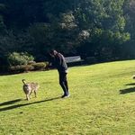Lesley Jarrett - @lesley.jarrett.3 - Instagram