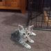 Lesley Keen - Facebook