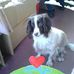 Lesley Keen - Facebook