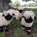 Lesley Kelly - Facebook