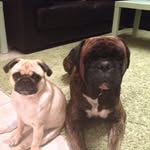 Lesley Kelly - @lesley.kelly29 - Instagram