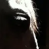 lesleykelly88 - @lesleykelly88 - TikTok