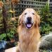 Lesley Kenyon - Facebook