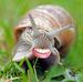 Lesley Knapp - Facebook