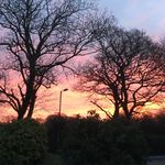 Lesley Knowles - @cornwallismylocalpatch - Instagram
