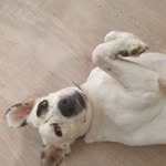 Lesley Laing - @laingaz79 - Instagram