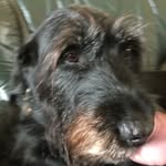 Lesley Laing - @lesley.laing191 - Instagram