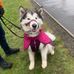 Lesley Laing - Facebook