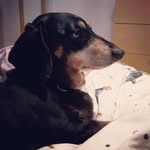 lesley laing - @lesleylaing_ - Instagram