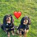 Lesley Lammens - Facebook