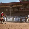 Wesley Lammers - @wesleylammers_6 - TikTok