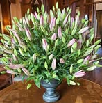 Lesley Lang - Facebook