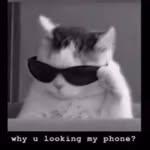 {~Lesley_langenberg~} - @lesleylangenberg_ - Instagram