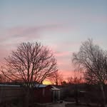 Lesley Lees - @lesleylees28 - Instagram