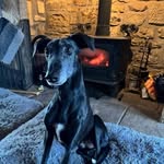 Lesley Leeson - @lesley.leeson - Instagram