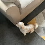 Lesley Logan - @lesley.logan.988 - Instagram