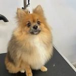 Lesley Lopes - @lopeslesley - Instagram