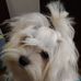 Lesley Lord - Facebook