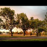 Lesley Lundstrom - @lesleylundstrom - Instagram
