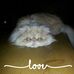 Lesley MacDonald - Facebook