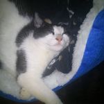 Lesley Macdonald - @lesley.macdonald.3538 - Instagram