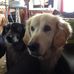 Lesley Macnab - Facebook