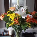 amy Lesley Maher - @amylesleyupton - Instagram