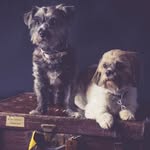 Lesley Johnston-Main - @lesleyjohnstonmain - Instagram