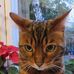 Lesley Main - Facebook