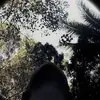 Lesley main ML - @lesley.main.ml - TikTok