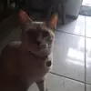 Main Lesley - @main.lesley - TikTok