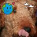 Lesley Manning - Facebook