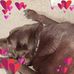 Lesley Manning - Facebook