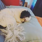 Lesley Manning - @aela_moeseccorn.1 - Instagram