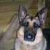 Lesley Mansfield - Facebook