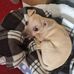 Lesley Marks - Facebook