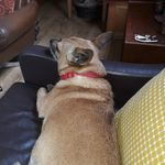 Lesley Marlow - @lesleymarlow - Instagram