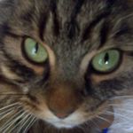 Lesley Maxwell - @lesleymaxwell3 - Instagram