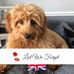 Lesley Mayer - Facebook