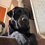 Lesley Marie Mccormick - @lesley12345678 - Instagram