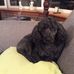 Lesley McDonald - Facebook