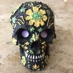 Lesley McDonald - @lesleymcdonald5 - Instagram