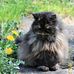 Lesley Mcdowell - Facebook