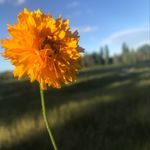 Lesley - @lesleymcgregor - Instagram