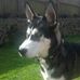 Lesley Mcgregor - Facebook
